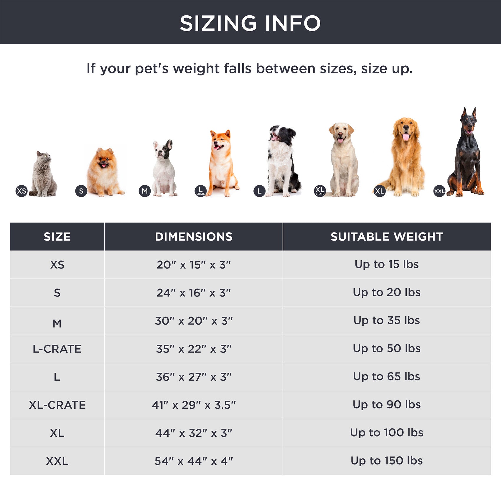 Large Orthopedic Washable Dog Bed