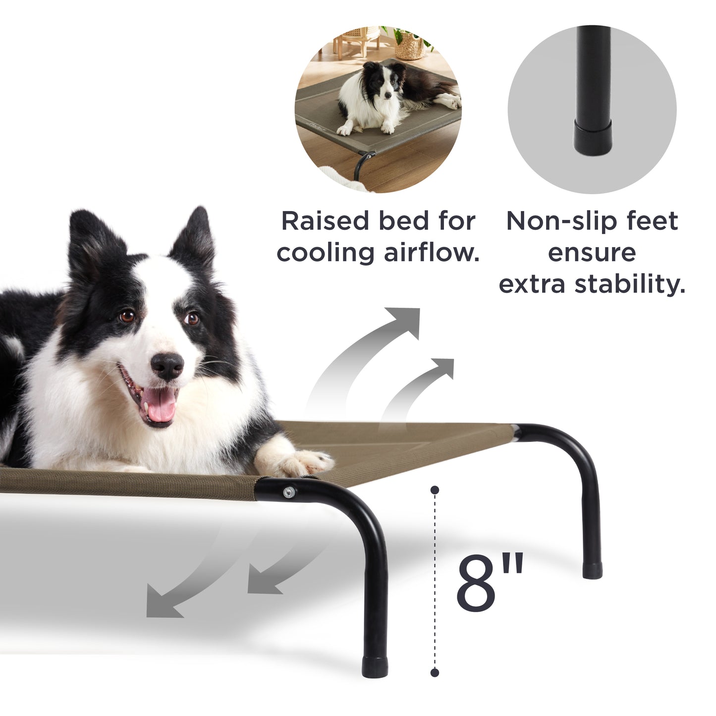 Elevated Dog Bed