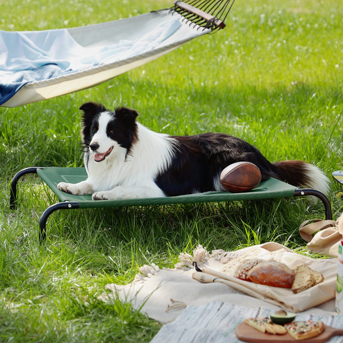 Elevated Dog Bed
