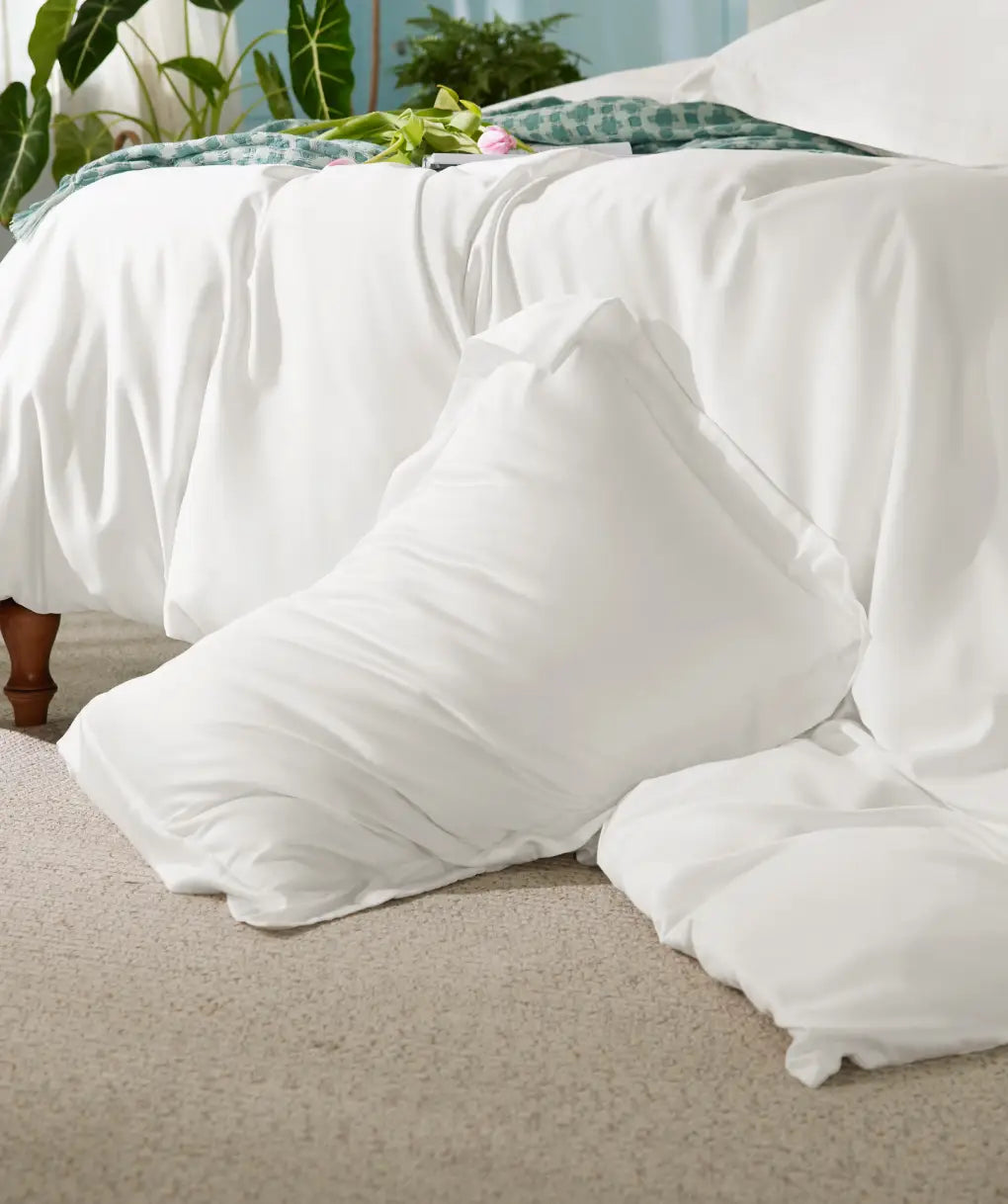 Pillows & Duvet Inserts