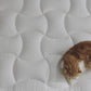 Water-Proof Three-Zone Mattress Pad