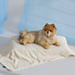 Cooling & Breathable Lightweight Pet Blanket