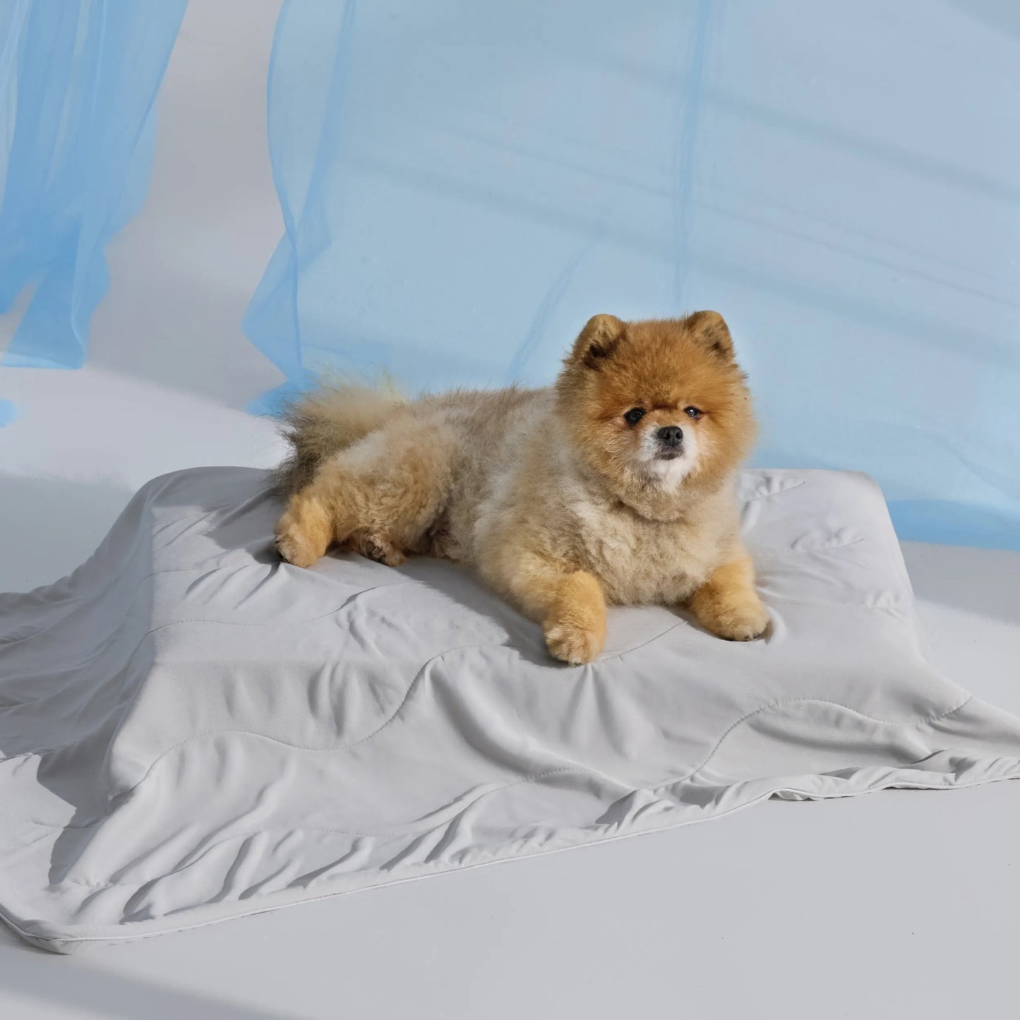Cooling & Breathable Lightweight Pet Blanket