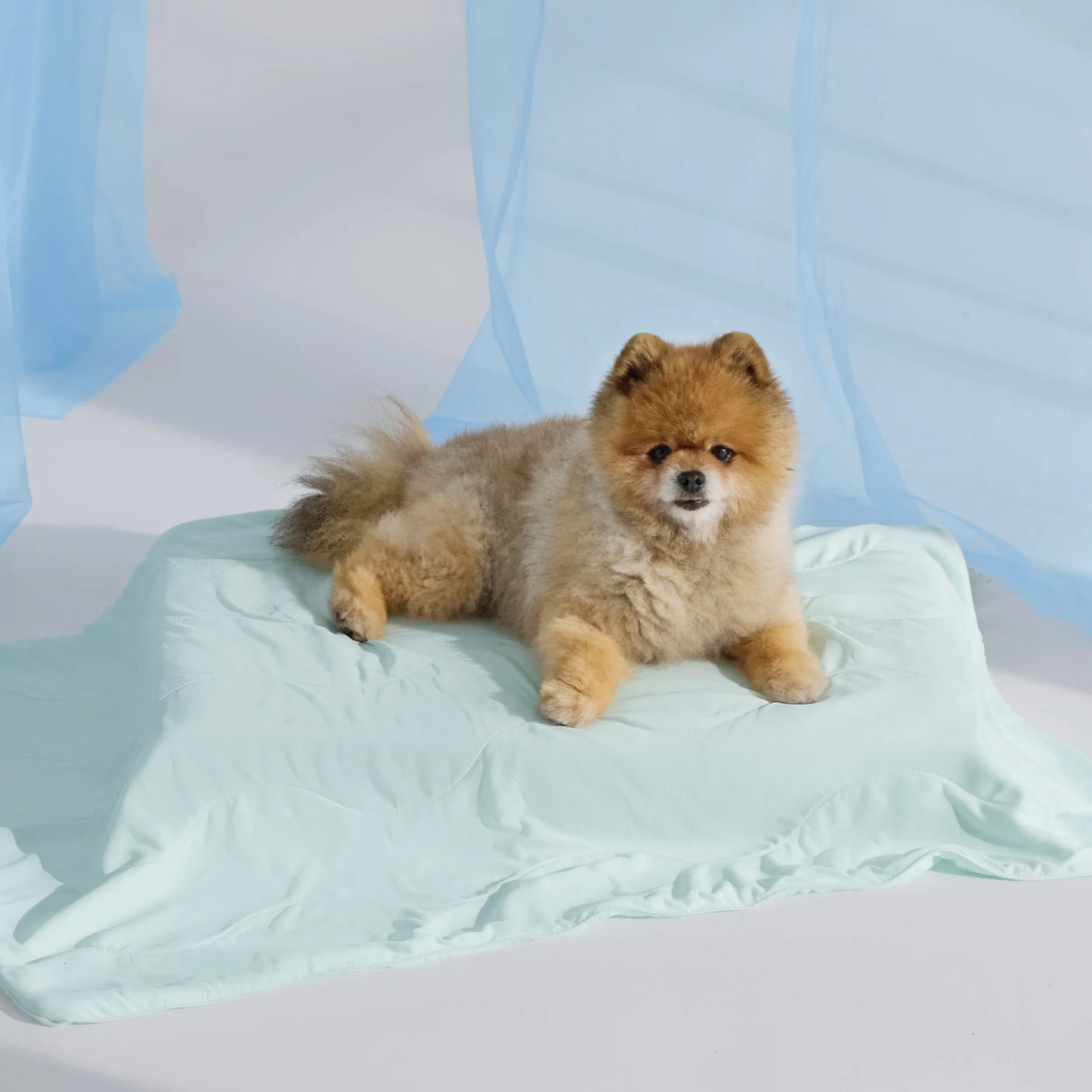 Cooling & Breathable Lightweight Pet Blanket