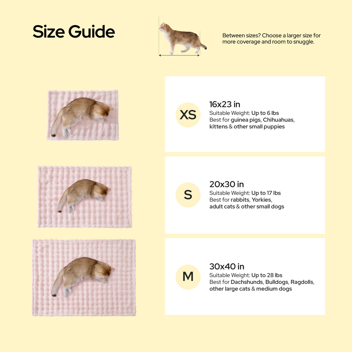 Bubble Fleece Pet Blanket Set