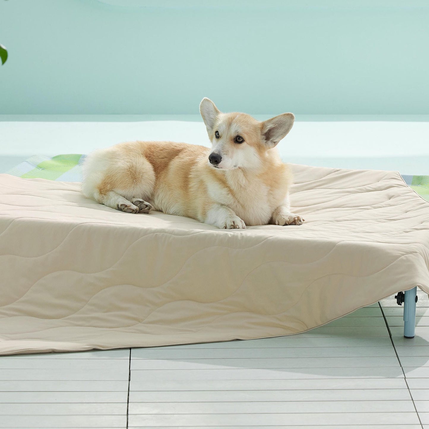 Textured Pet Cooling Blanket