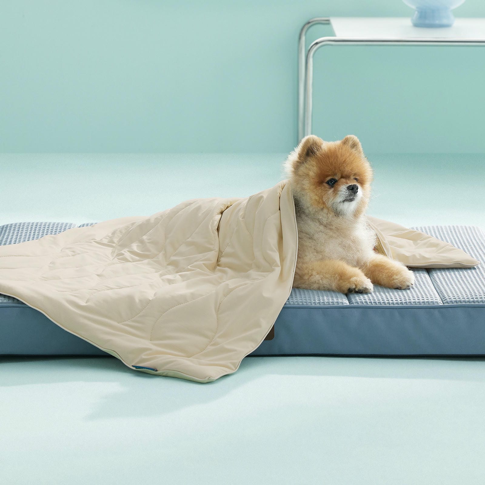 Textured Pet Cooling Blanket