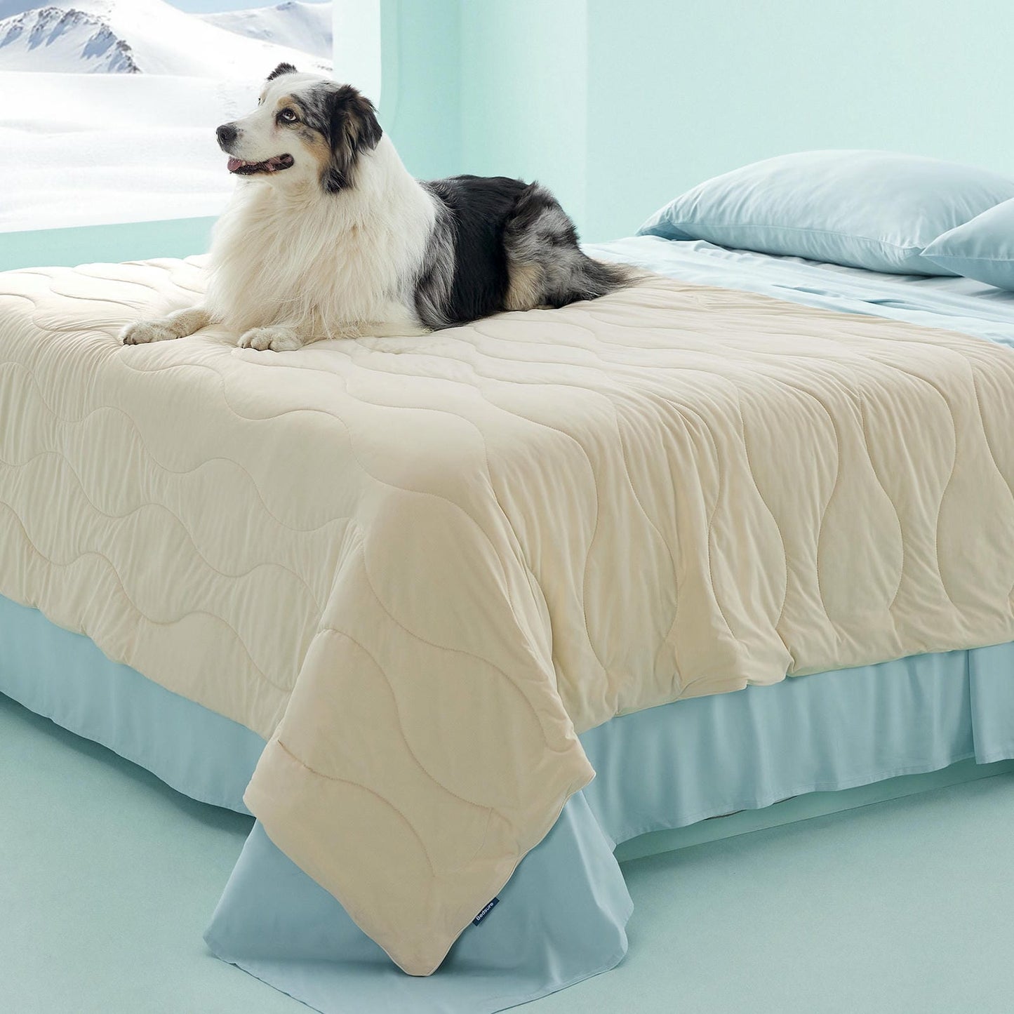 Textured Pet Cooling Blanket