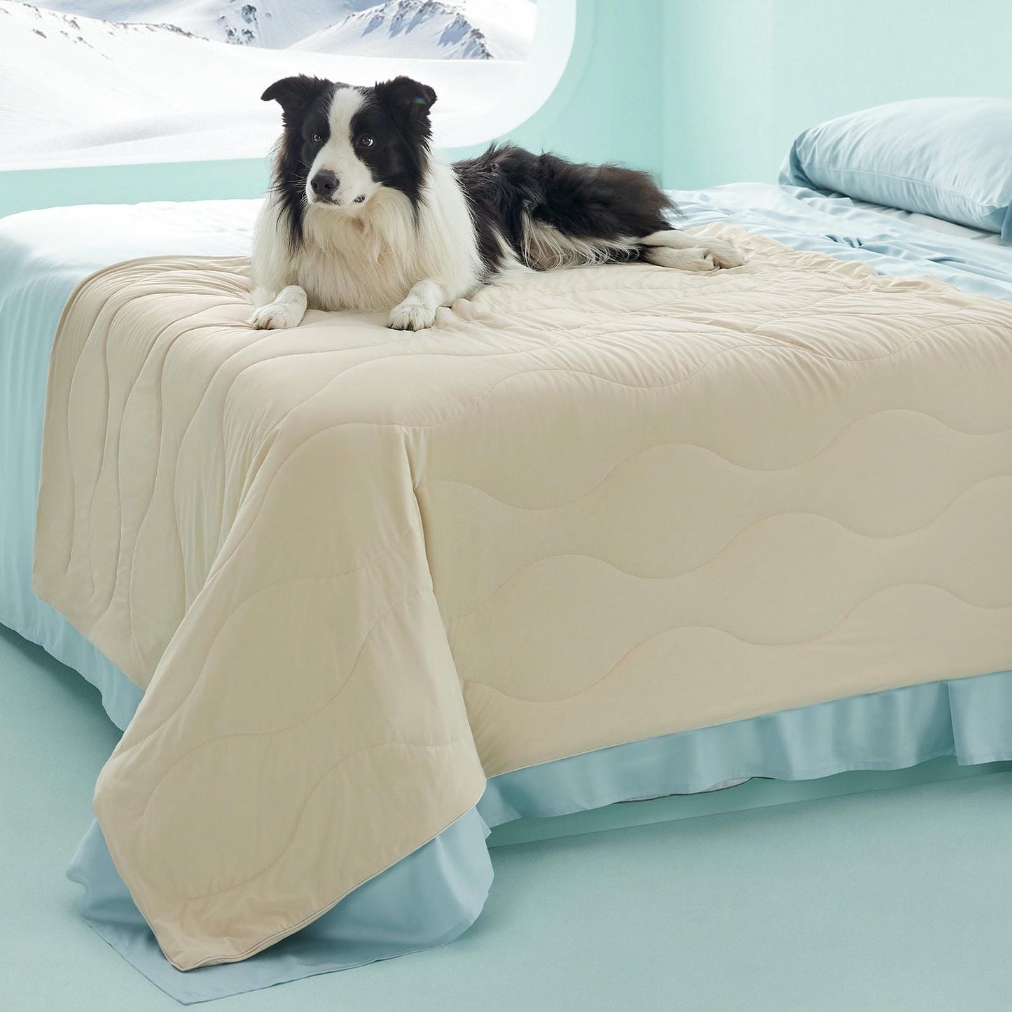 Textured Pet Cooling Blanket