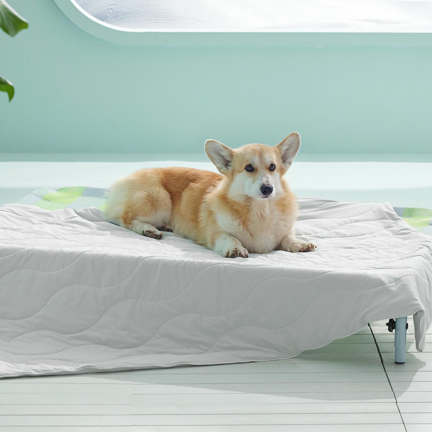 Textured Pet Cooling Blanket