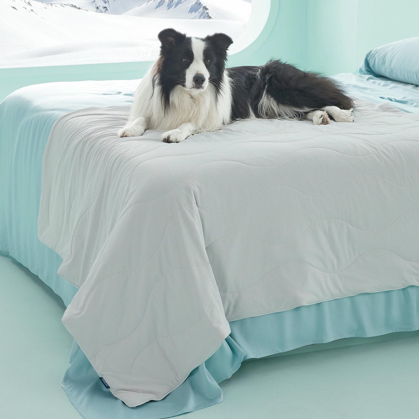 Textured Pet Cooling Blanket
