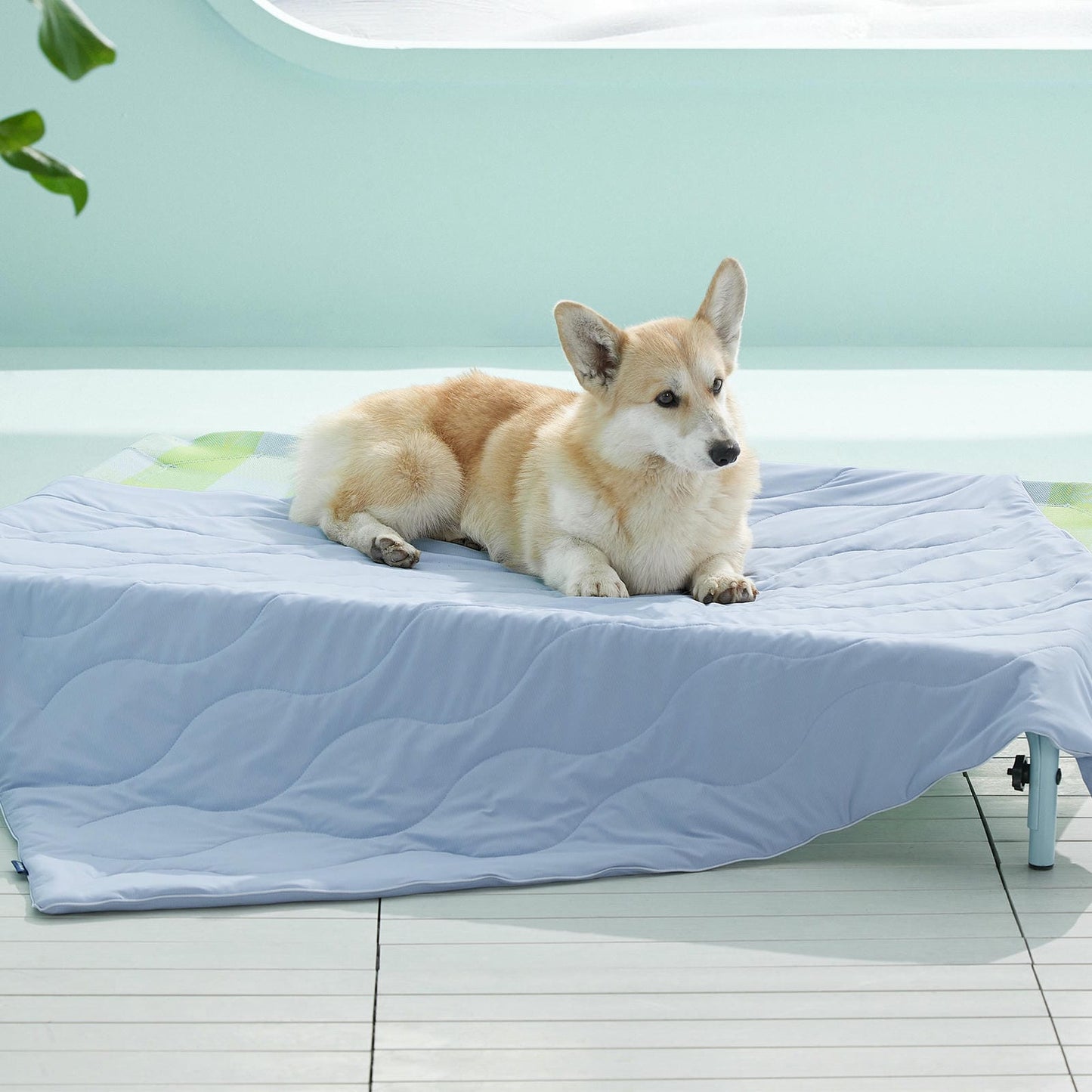Textured Pet Cooling Blanket