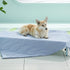 Textured Pet Cooling Blanket