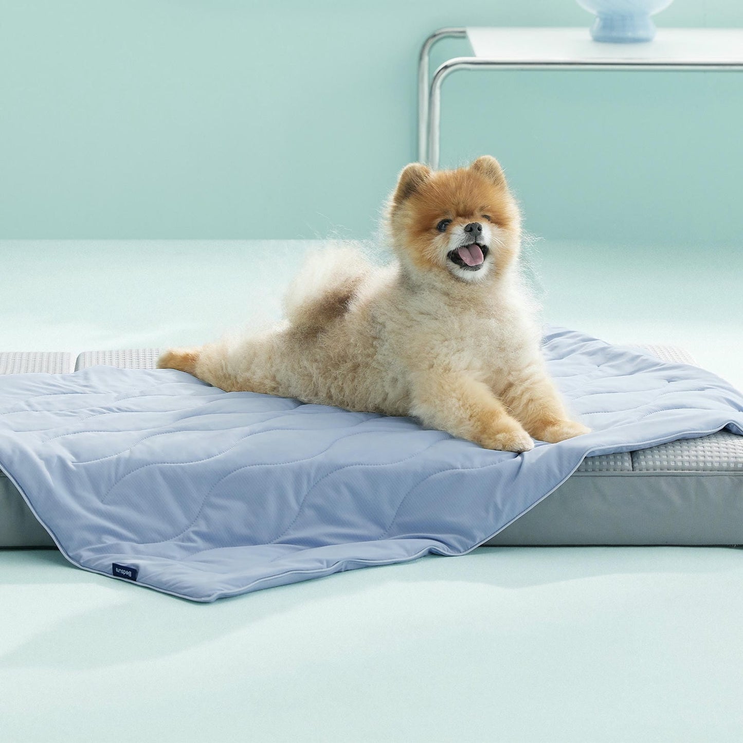Textured Pet Cooling Blanket