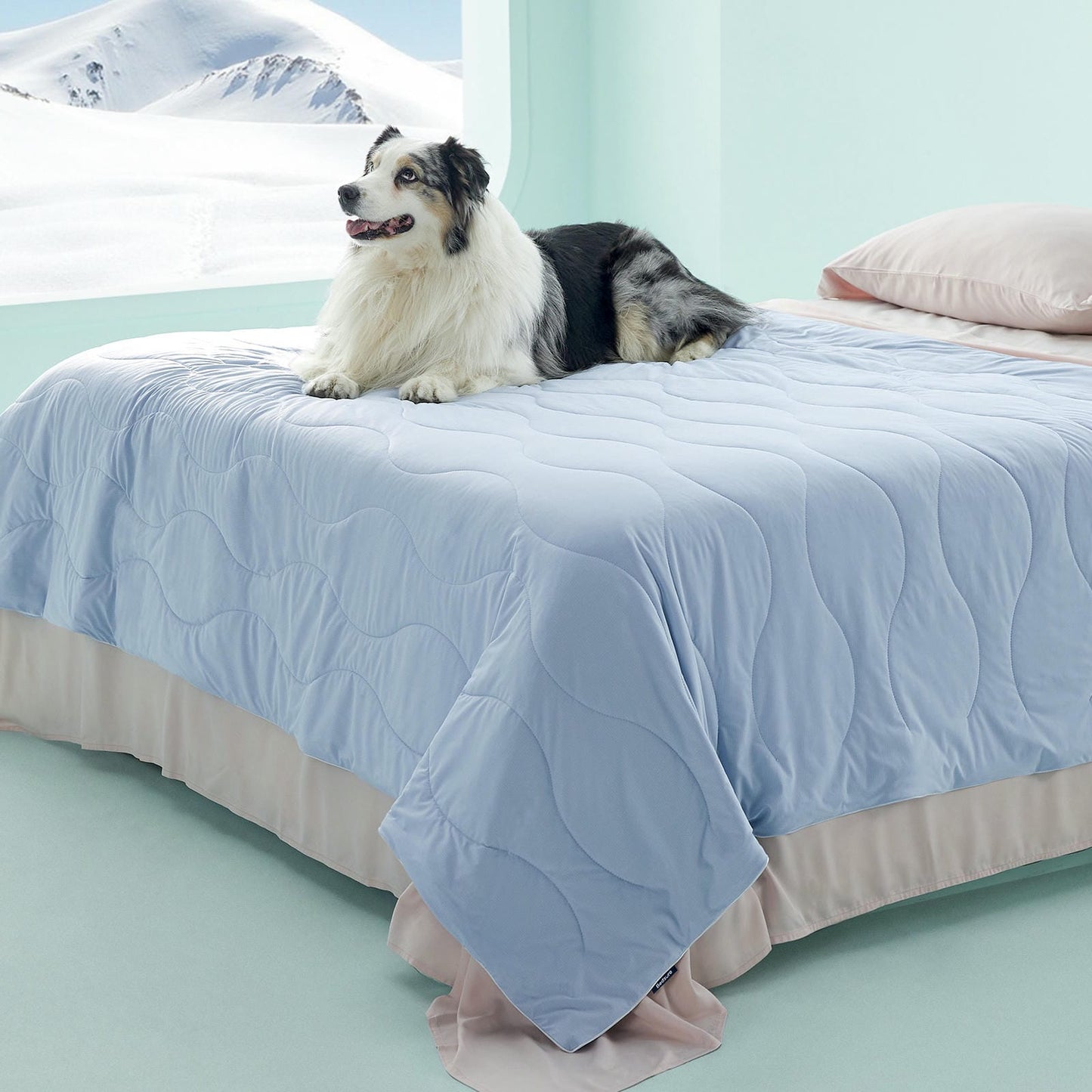 Textured Pet Cooling Blanket