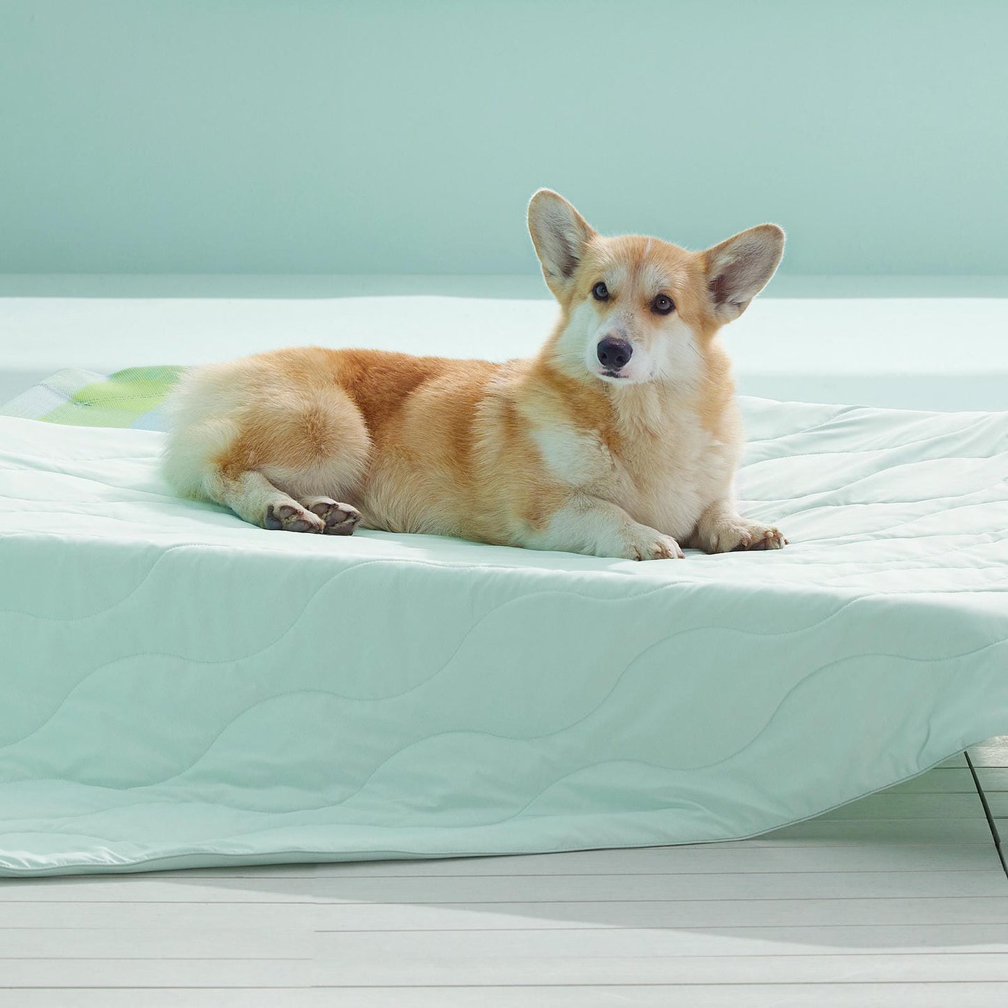 Textured Pet Cooling Blanket