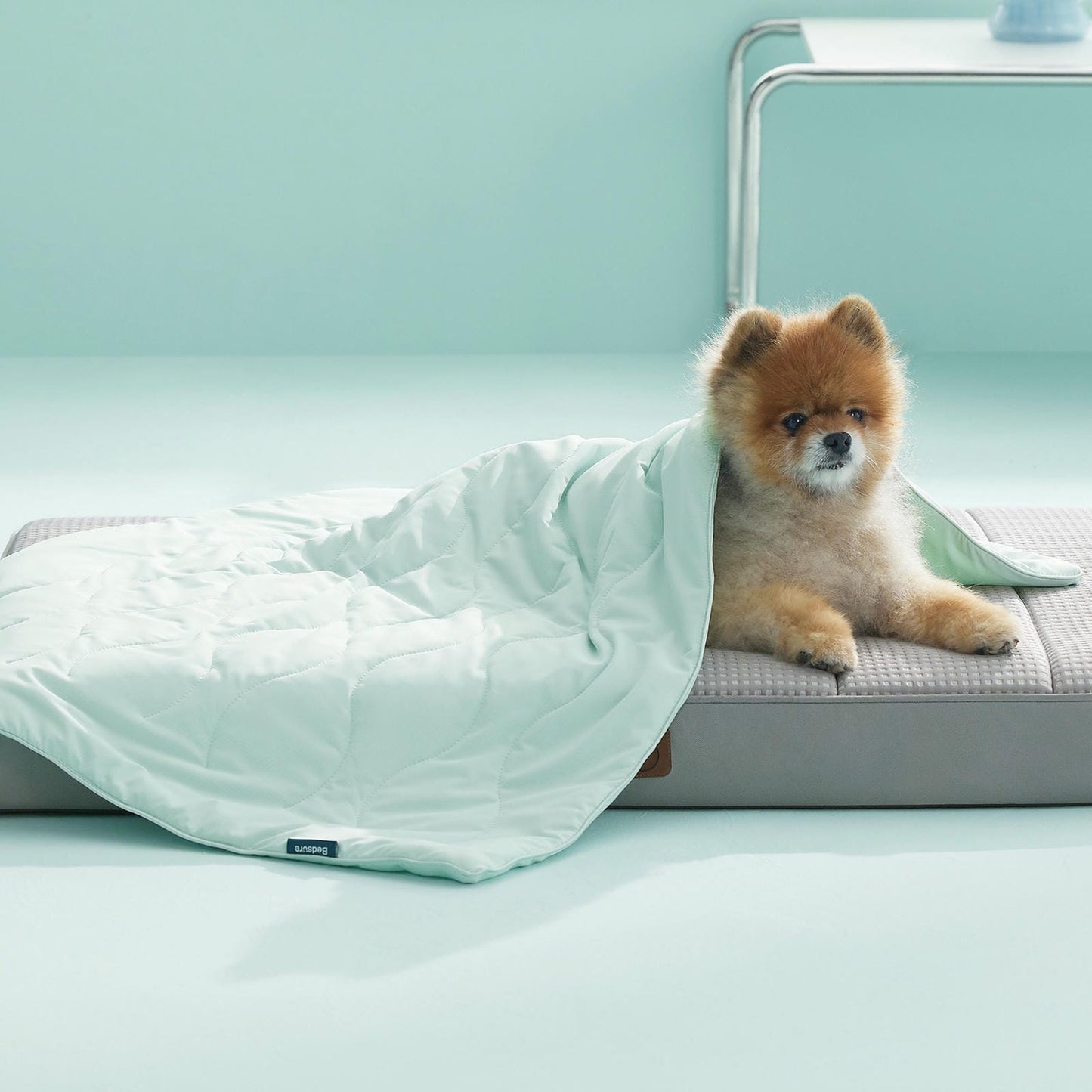 Textured Pet Cooling Blanket