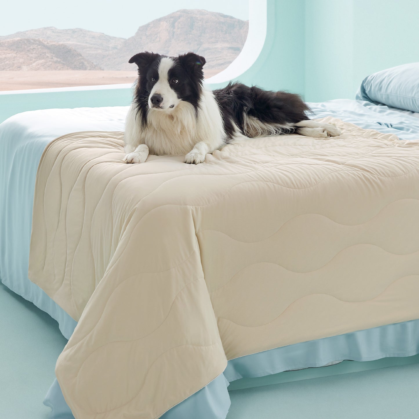 Textured Pet Cooling Blanket