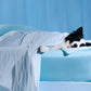 Cooling & Breathable Lightweight Pet Blanket