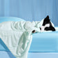 Cooling & Breathable Lightweight Pet Blanket