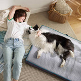 Large Dog Memory Foam Bed with CertiPUR-US