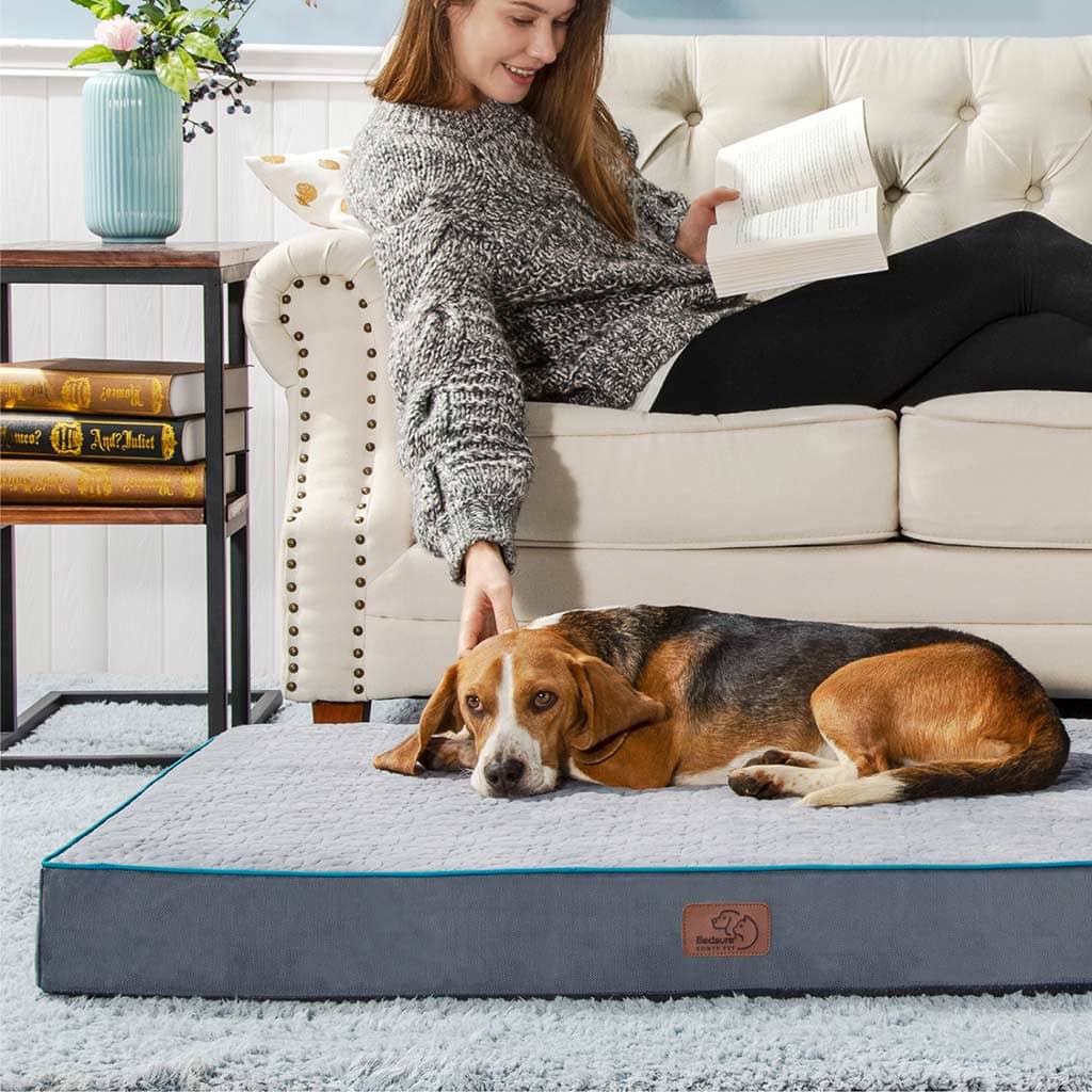 Large Dog Memory Foam Bed with CertiPUR-US
