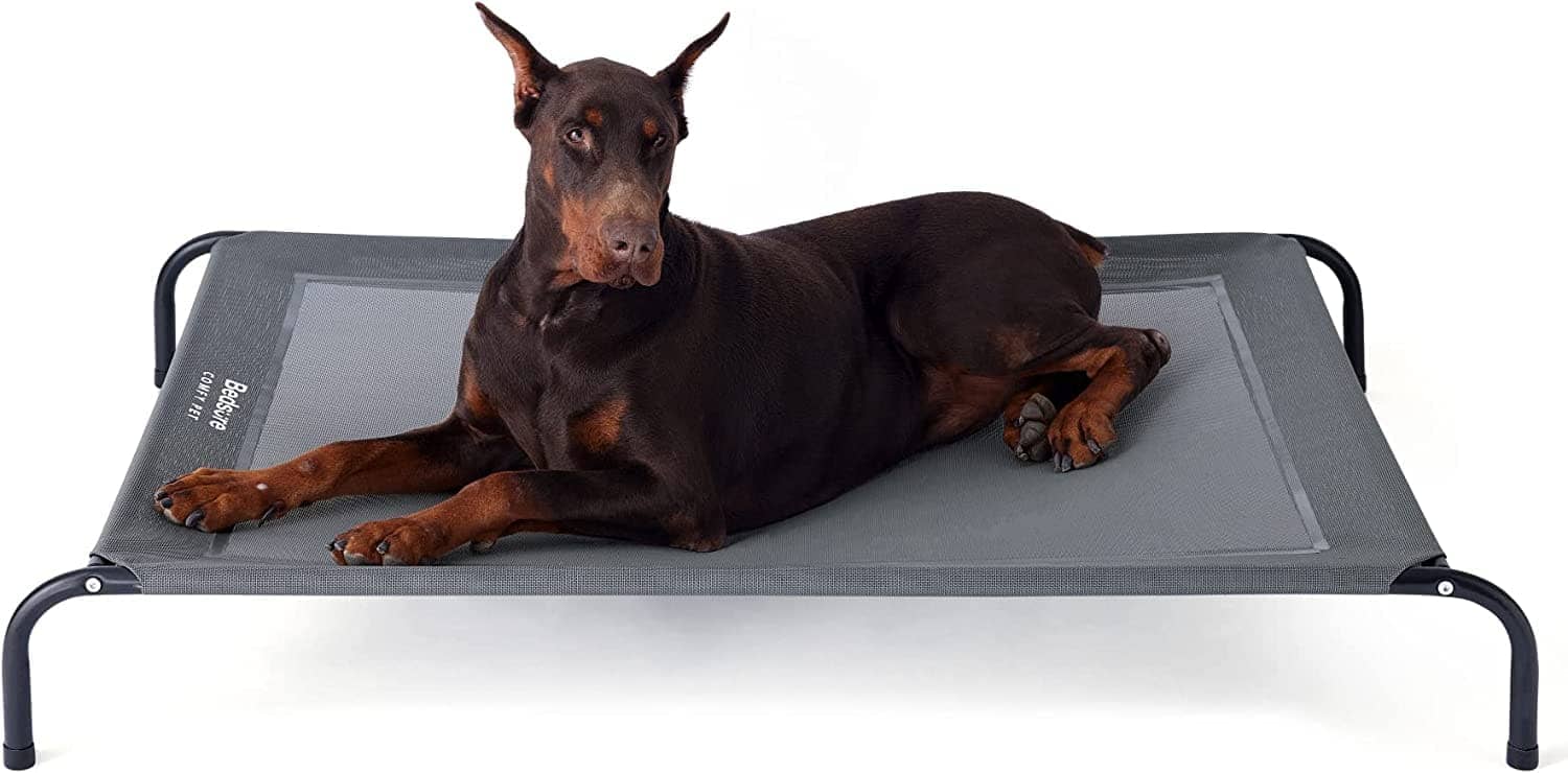 Bedsure Elevated Dog Bed Applicable Scene