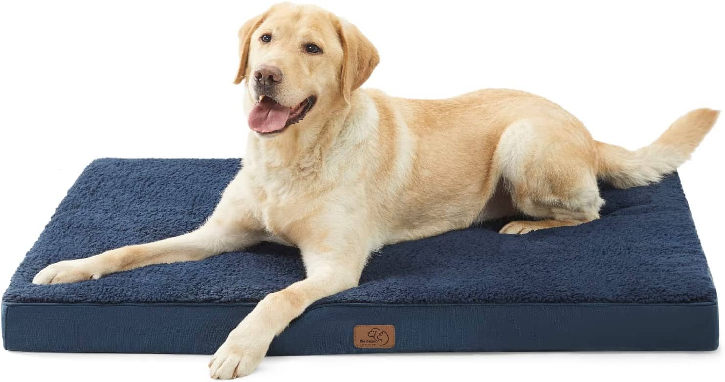 Large Orthopedic Washable Dog Bed