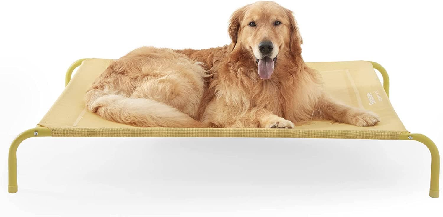 Elevated Dog Cot Bed with Breathable Mesh