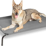 Bedsure Elevated Dog Bed Applicable Scene