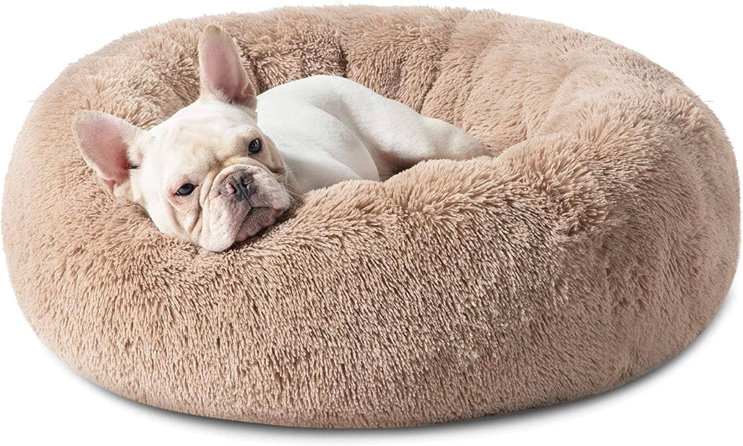 application scenario of the Bedsure Calming Bed for Dogs - Washable Round Dog Bed --Slip Faux Fur Donut Cuddler Cat Bed