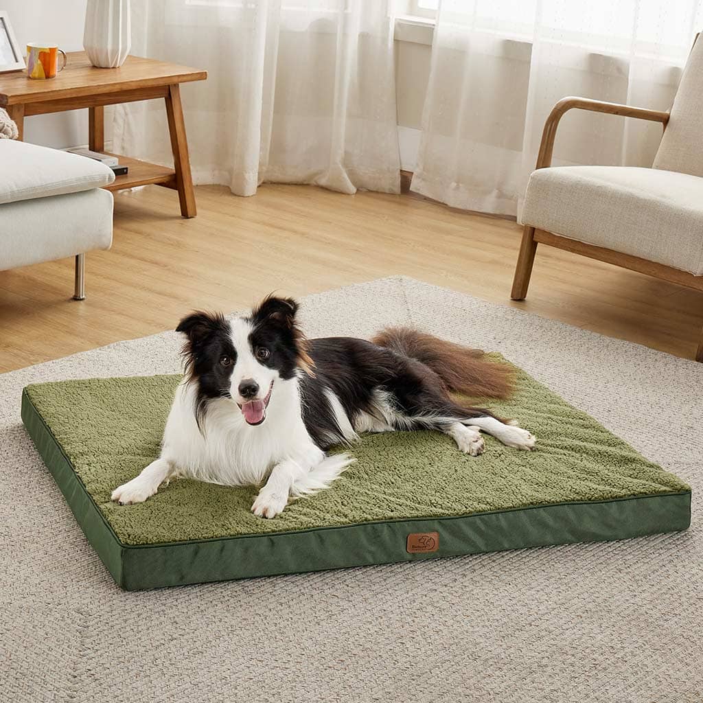 24x36 orthopedic dog outlet bed