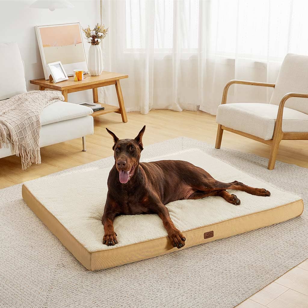 Large orthopedic hotsell dog bed